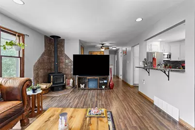 41 Yew Lane, Bailey, CO 80421 - Photo 4