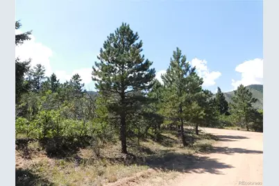 6344 Troon Court, Larkspur, CO 80118 - Photo 6