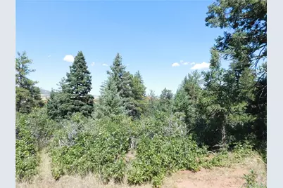6344 Troon Court, Larkspur, CO 80118 - Photo 46