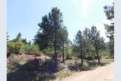 6344 Troon Court, Larkspur, CO 80118 - Photo 8