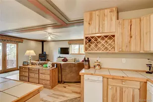 105 Ladigo Ln, Hartsel, CO 80449 - Photo 26