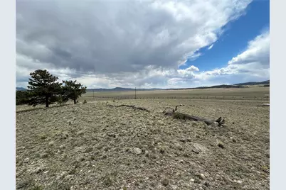 591 Singletree Court, Hartsel, CO 80449 - Photo 16