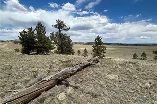 591 Singletree Ct, Hartsel, CO 80449 - Photo 1