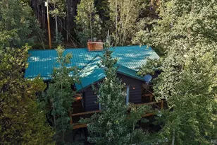 66 Lodgepole Cir, Evergreen, CO 80439 - Photo 8