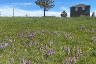 13435 Hodgen Rd, Elbert, CO 80106 - Photo 20