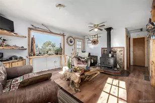 201 Lake Dr, Florissant, CO 80816 - Photo 4