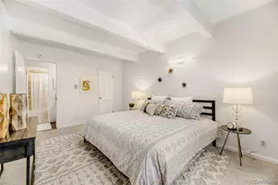 1265 Race St, Denver, CO 80206 - Photo 12