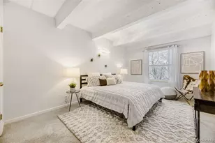 1265 Race St, Denver, CO 80206 - Photo 10