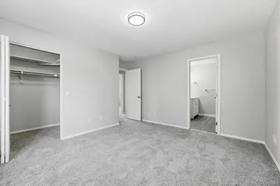 789 Fairhaven Street, Castle Rock, CO 80104 - Photo 20