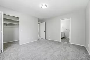 789 Fairhaven St, Castle Rock, CO 80104 - Photo 20
