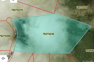 Lot 6077 Vreeland Rd, San Luis, CO 81152 - Photo 1