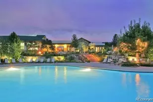 8558 Gold Peak Ln, Highlands Ranch, CO 80130 - Photo 48