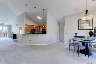 8558 Gold Peak Ln, Highlands Ranch, CO 80130 - Photo 4