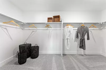 8754 Yellowcress Street, Littleton, CO 80125 - Photo 34