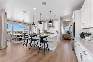 8754 Yellowcress St, Littleton, CO 80125 - Photo 14