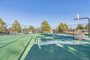 7387 Norfolk Pl, Castle Pines, CO 80108 - Photo 36