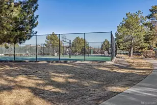 7387 Norfolk Pl, Castle Pines, CO 80108 - Photo 26