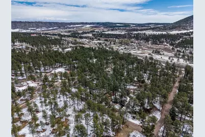 9231 Curtis Road, Larkspur, CO 80118 - Photo 12