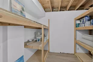 6648 S Webster St, Littleton, CO 80123 - Photo 24