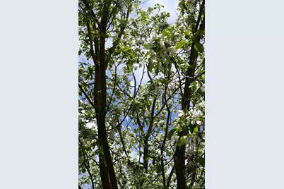 16876 W 67th Circle, Arvada, CO 80007 - Photo 30