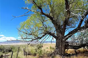 51655 Co Rd U, Saguache, CO 81149 - Photo 20