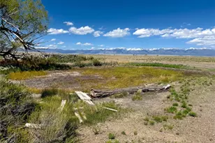 51655 Co Rd U, Saguache, CO 81149 - Photo 2