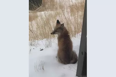 23846 Genesee Village Road, Golden, CO 80401 - Photo 44