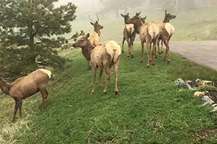 23846 Genesee Village Rd, Golden, CO 80401 - Photo 44