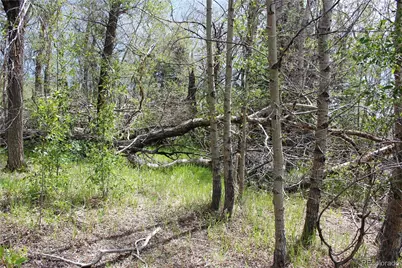 00 Quartz Hill Road, Central City, CO 80427 - Photo 28
