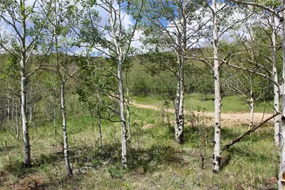 00 Quartz Hill Road, Central City, CO 80427 - Photo 16