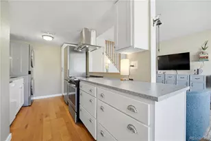 3354 S Flower St, Lakewood, CO 80227 - Photo 10