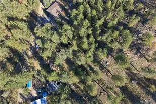 204 Waltonia Rd, Drake, CO 80515 - Photo 44