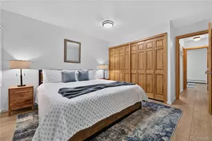 300 E Miners Creek Road, Frisco, CO 80443 - Photo 8