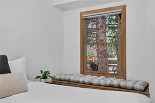 300 E Miners Creek Road, Frisco, CO 80443 - Photo 12
