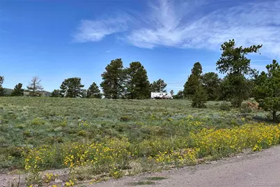 32 Peak Drive, Guffey, CO 80820 - Photo 46