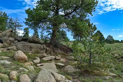 32 Peak Drive, Guffey, CO 80820 - Photo 30