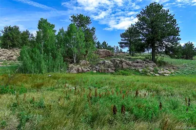 32 Peak Drive, Guffey, CO 80820 - Photo 36
