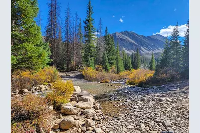 22590 County Road 292A, Nathrop, CO 81236 - Photo 40