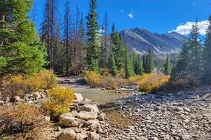 22590 Co Rd 292A, Nathrop, CO 81236 - Photo 40