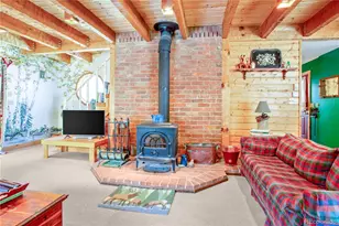 22590 Co Rd 292A, Nathrop, CO 81236 - Photo 12