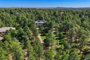 17075 Viscount Ct, Monument, CO 80132 - Photo 4