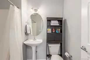 457 Black Feather Loop, Castle Rock, CO 80104 - Photo 28