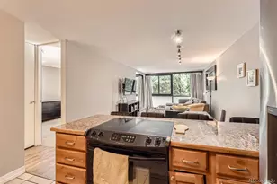 1050 N Corona Street, Denver, CO 80218 - Photo 10