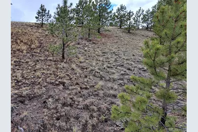 783 Remuda, Hartsel, CO 80449 - Photo 6