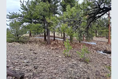 783 Remuda, Hartsel, CO 80449 - Photo 8