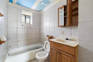 3784 N Williams St, Denver, CO 80205 - Photo 18