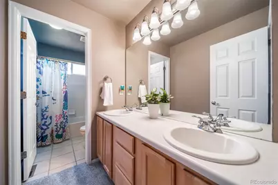 16533 Red Brush Place, Parker, CO 80134 - Photo 18