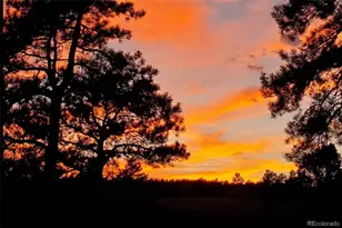 11 Valley Cir, Guffey, CO 80820 - Photo 18