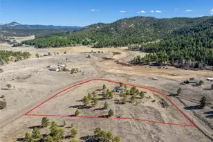 11 Valley Cir, Guffey, CO 80820 - Photo 36