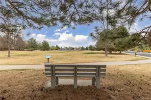 3152 N Princess Cir, Broomfield, CO 80020 - Photo 38